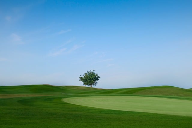 Bag kulisserne: Forberedelserne til fedex st. Jude championship